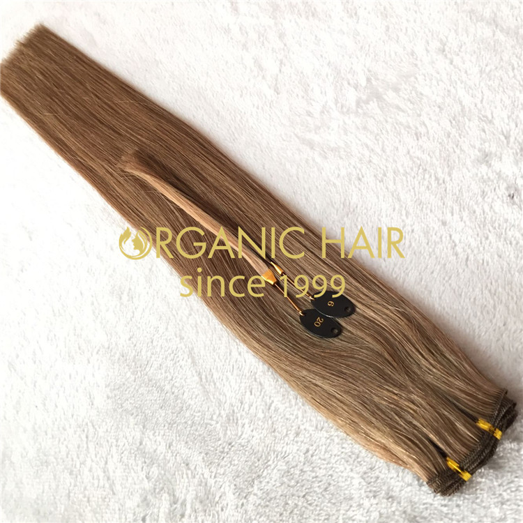 High quality hair extensions sale--Hand tied weft hair extensions C20